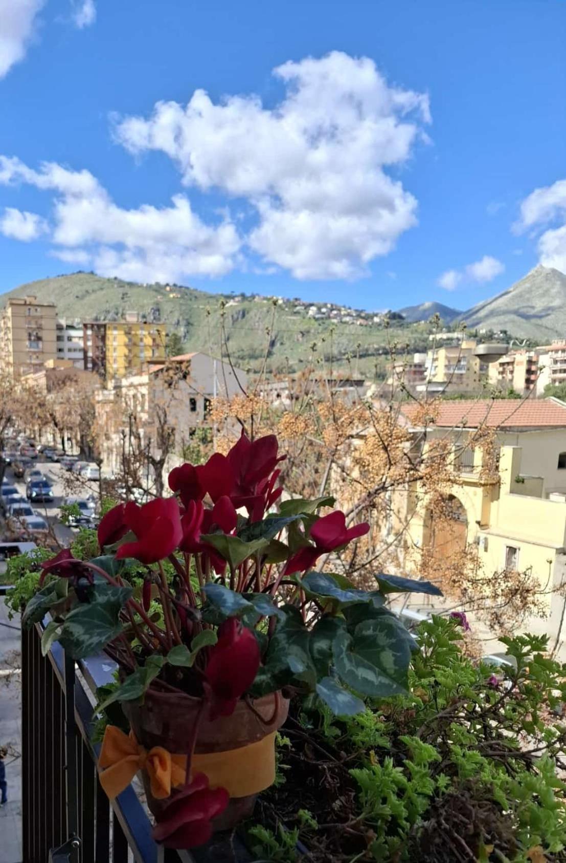 Apartament Casa Da Giannina Palermo Zewnętrze zdjęcie